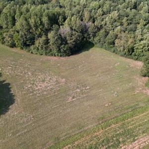 Photo #17 of Off Willis Pinnell Road , Norlina, NC 2.9 acres