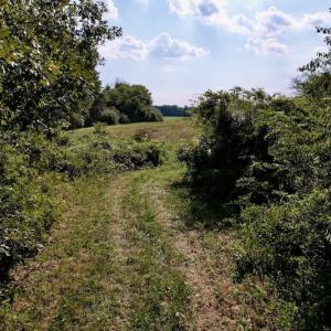 Photo #20 of Off Willis Pinnell Road , Norlina, NC 2.9 acres