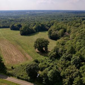 Photo #3 of Off Willis Pinnell Road , Norlina, NC 2.9 acres