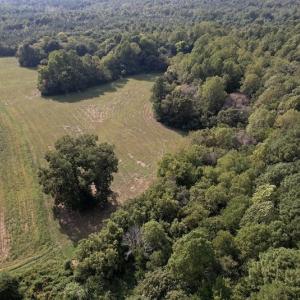 Photo #4 of Off Willis Pinnell Road , Norlina, NC 2.9 acres