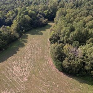 Photo #5 of Off Willis Pinnell Road , Norlina, NC 2.9 acres