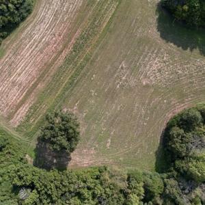 Photo #6 of Off Willis Pinnell Road , Norlina, NC 2.9 acres