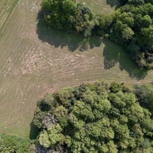 Photo #7 of Off Willis Pinnell Road , Norlina, NC 2.9 acres