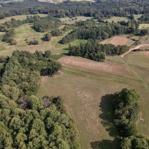Photo #8 of Off Willis Pinnell Road , Norlina, NC 2.9 acres