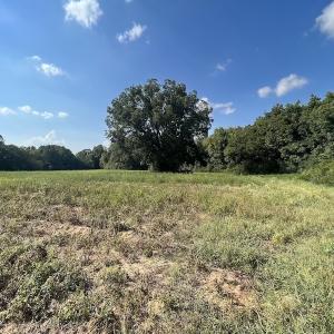Photo #21 of Off Willis Pinnell Road , Norlina, NC 2.9 acres