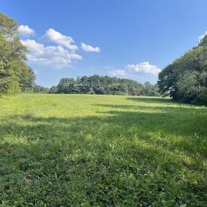 Photo #23 of Off Willis Pinnell Road , Norlina, NC 2.9 acres