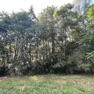 Photo #24 of Off Willis Pinnell Road , Norlina, NC 2.9 acres