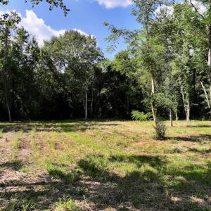 Photo #13 of Off Pike Rd, Pantego, NC 5.8 acres
