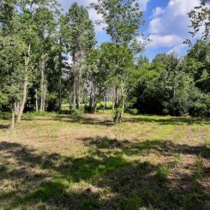 Photo #14 of Off Pike Rd, Pantego, NC 5.8 acres