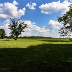 Photo #18 of Off Pike Rd, Pantego, NC 5.8 acres