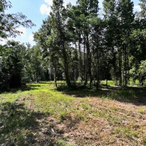 Photo #20 of Off Pike Rd, Pantego, NC 5.8 acres