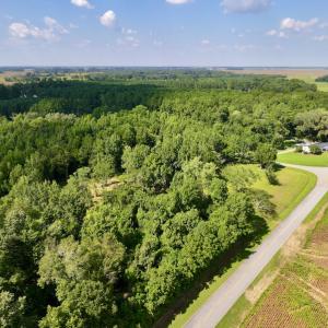 Photo #4 of Off Pike Rd, Pantego, NC 5.8 acres