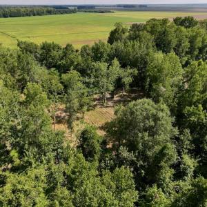 Photo #6 of Off Pike Rd, Pantego, NC 5.8 acres