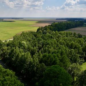 Photo #7 of Off Pike Rd, Pantego, NC 5.8 acres
