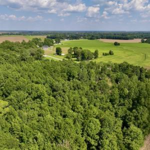 Photo #9 of Off Pike Rd, Pantego, NC 5.8 acres