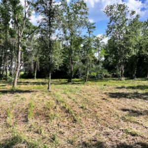 Photo #21 of Off Pike Rd, Pantego, NC 5.8 acres