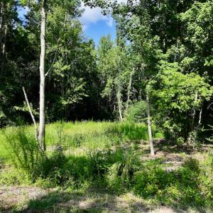 Photo #22 of Off Pike Rd, Pantego, NC 5.8 acres