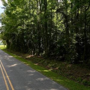 Photo #25 of Off Pike Rd, Pantego, NC 5.8 acres