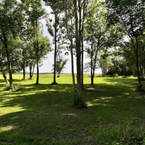 Photo #26 of Off Pike Rd, Pantego, NC 5.8 acres