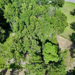 Photo #28 of Off Pike Rd, Pantego, NC 5.8 acres