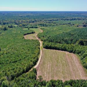 Photo #2 of SOLD property in Off Dennis Harris Rd, Macon, NC 138.1 acres