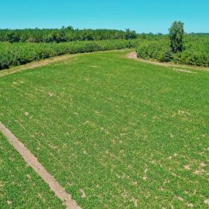 Photo #11 of SOLD property in Off Dennis Harris Rd, Macon, NC 138.1 acres