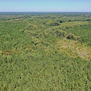 Photo #12 of SOLD property in Off Dennis Harris Rd, Macon, NC 138.1 acres