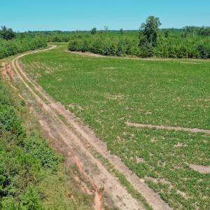 Photo #13 of SOLD property in Off Dennis Harris Rd, Macon, NC 138.1 acres