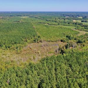 Photo #15 of SOLD property in Off Dennis Harris Rd, Macon, NC 138.1 acres