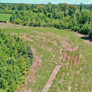 Photo #16 of SOLD property in Off Dennis Harris Rd, Macon, NC 138.1 acres