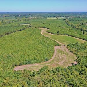 Photo #17 of SOLD property in Off Dennis Harris Rd, Macon, NC 138.1 acres