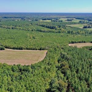 Photo #18 of SOLD property in Off Dennis Harris Rd, Macon, NC 138.1 acres