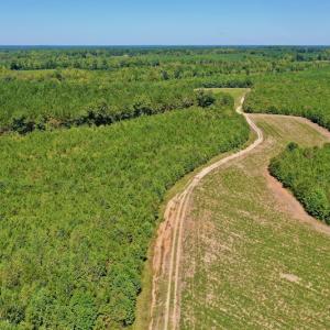 Photo #20 of SOLD property in Off Dennis Harris Rd, Macon, NC 138.1 acres