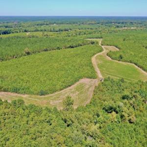 Photo #4 of SOLD property in Off Dennis Harris Rd, Macon, NC 138.1 acres