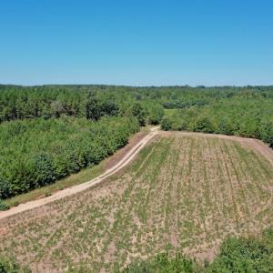 Photo #5 of SOLD property in Off Dennis Harris Rd, Macon, NC 138.1 acres