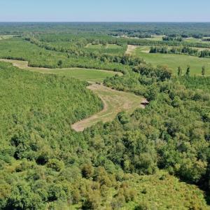 Photo #10 of SOLD property in Off Dennis Harris Rd, Macon, NC 138.1 acres