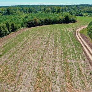 Photo #21 of SOLD property in Off Dennis Harris Rd, Macon, NC 138.1 acres