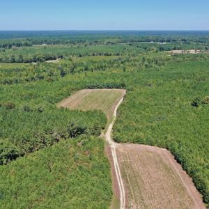 Photo #24 of SOLD property in Off Dennis Harris Rd, Macon, NC 138.1 acres