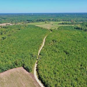 Photo #25 of SOLD property in Off Dennis Harris Rd, Macon, NC 138.1 acres