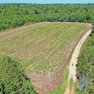 Photo #29 of SOLD property in Off Dennis Harris Rd, Macon, NC 138.1 acres