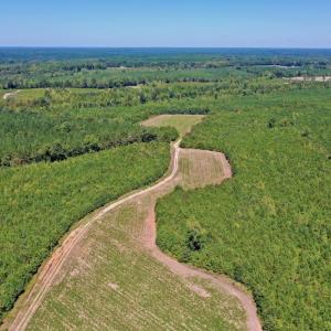 Photo #30 of SOLD property in Off Dennis Harris Rd, Macon, NC 138.1 acres