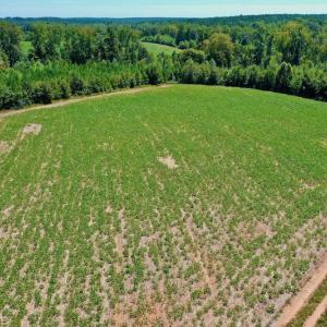 Photo #31 of SOLD property in Off Dennis Harris Rd, Macon, NC 138.1 acres
