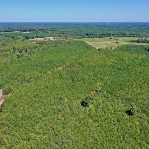 Photo #32 of SOLD property in Off Dennis Harris Rd, Macon, NC 138.1 acres
