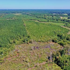 Photo #34 of SOLD property in Off Dennis Harris Rd, Macon, NC 138.1 acres