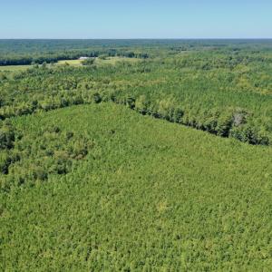 Photo #39 of SOLD property in Off Dennis Harris Rd, Macon, NC 138.1 acres