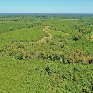 Photo #40 of SOLD property in Off Dennis Harris Rd, Macon, NC 138.1 acres