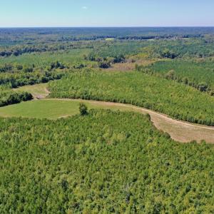 Photo #42 of SOLD property in Off Dennis Harris Rd, Macon, NC 138.1 acres