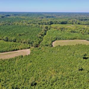 Photo #43 of SOLD property in Off Dennis Harris Rd, Macon, NC 138.1 acres