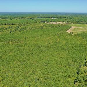 Photo #44 of SOLD property in Off Dennis Harris Rd, Macon, NC 138.1 acres