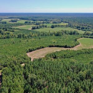 Photo #45 of SOLD property in Off Dennis Harris Rd, Macon, NC 138.1 acres